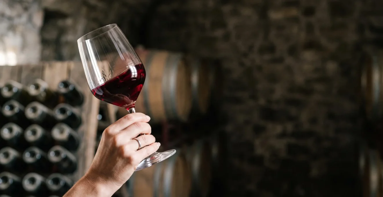 Verre de vin tenu à contre-jour lors d'une dégustation professionnelle, mettant en valeur la robe du vin
