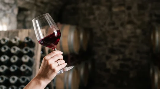Verre de vin tenu à contre-jour lors d'une dégustation professionnelle, mettant en valeur la robe du vin