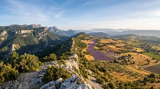 Paysage panoramique montrant la transition entre les reliefs boisés du Vercors et les collines provençales baignées de lumière dorée